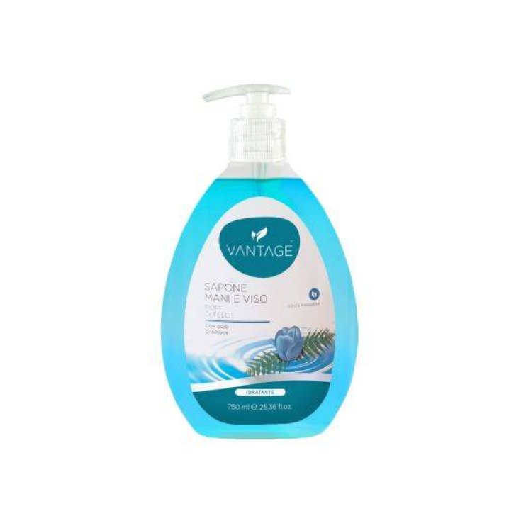 Sapone Mani E Viso Fiori Di Felce VANTAGE 750ml