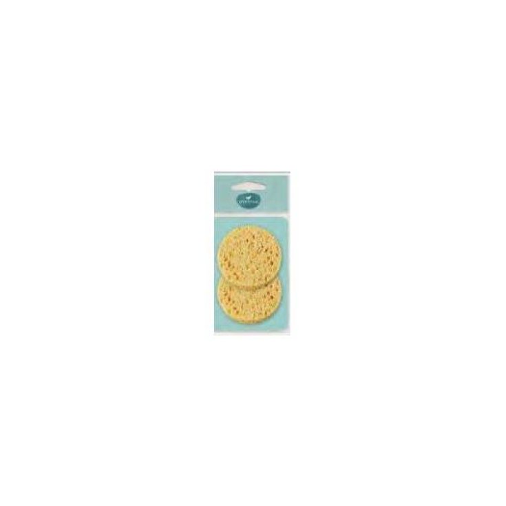 Spugnette Cellulosa VANTAGE GM039 2 Pezzi