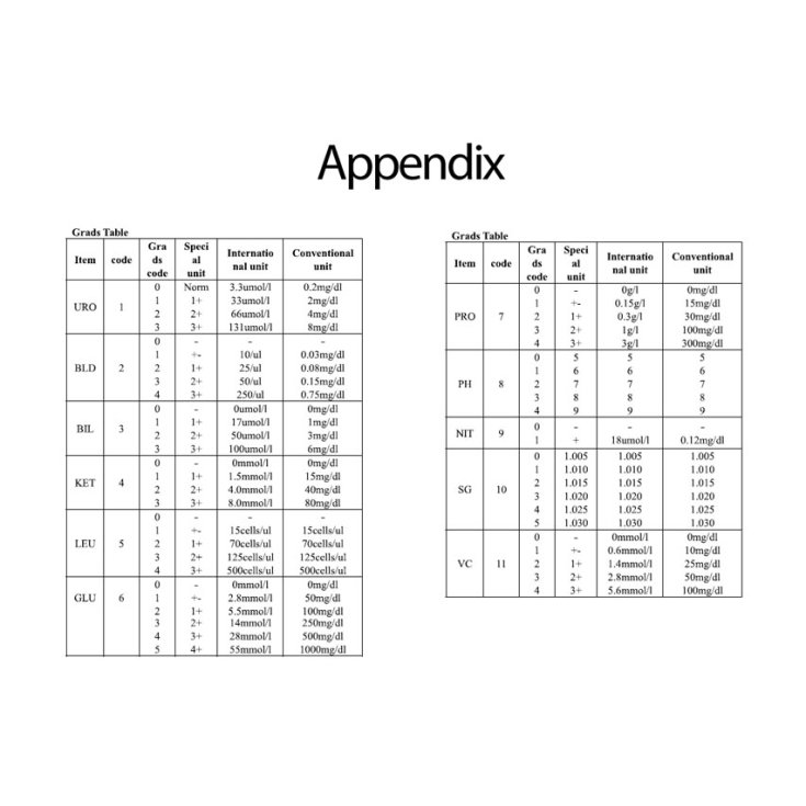 P16 ANALISI URINA