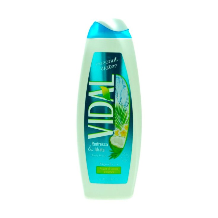 VIDAL B/S COCONUT WATER 500 ML