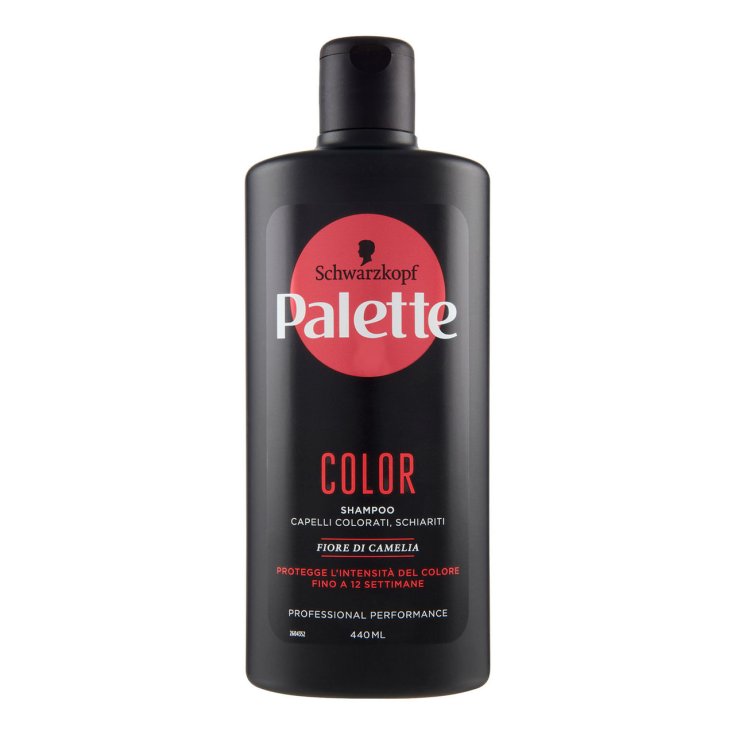 COLOR Shampoo Palette 440ml