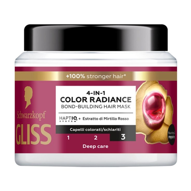 GLISS MASK COLOR PERFETTO 400 ML