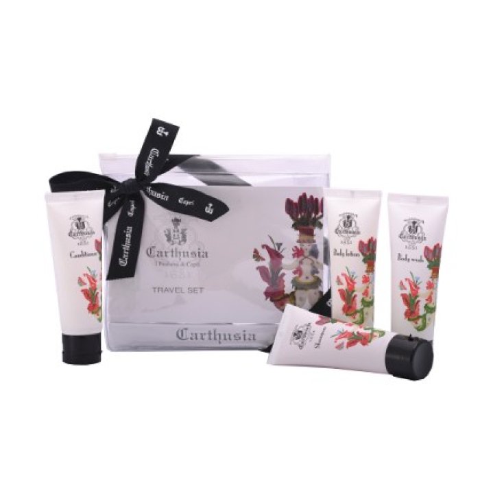 Car Travel Set