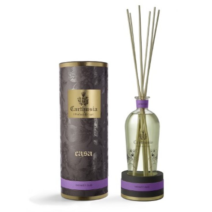 Car Infinity Oud Diffusore