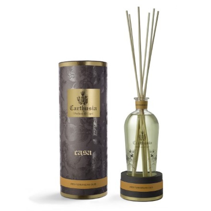 Car Mediterranean Oud Diffusore
