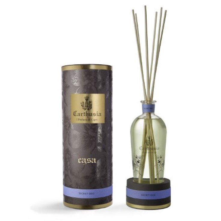 Car Secret Oud Diffusore