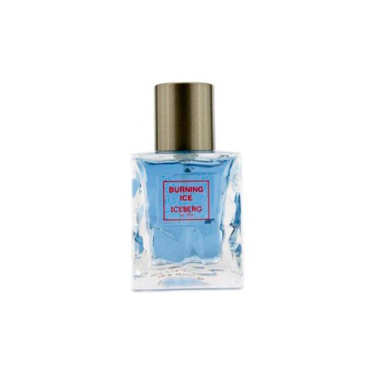 *ICEBERG BURNING ICE U EDT 50 VAPO
