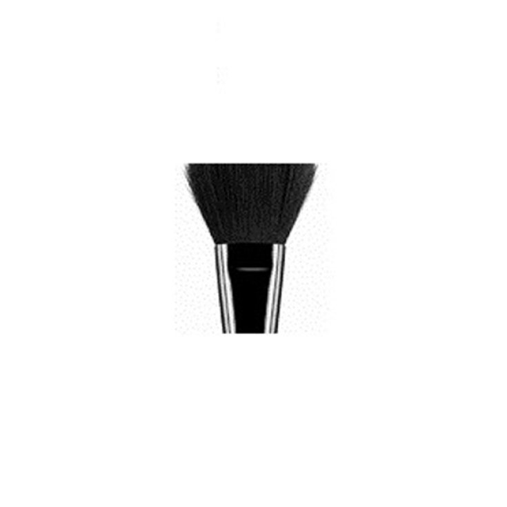 ASTRA PENNELLO EXPERT BRUSH 01