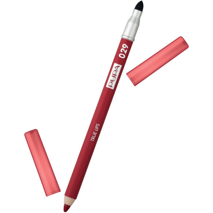 PUPA MATITA TRUE LIPS 29