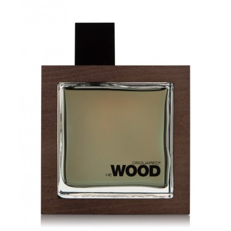 *DSQUARED ROCKY U EDT 100 V