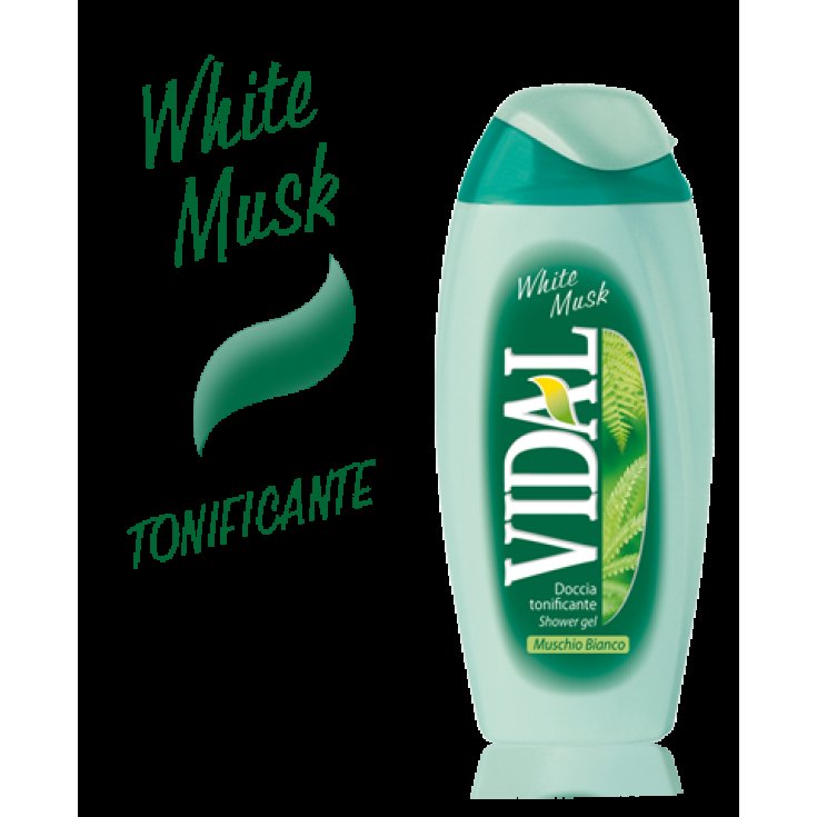 VIDAL D/S WILD MUSK 250 ML