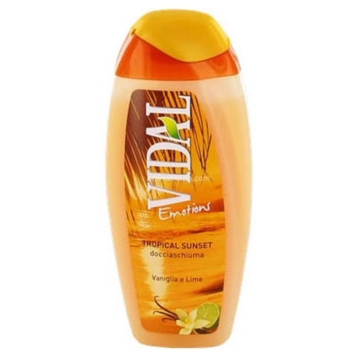 VIDAL D/S VANIGLIA E LIME 250 ML