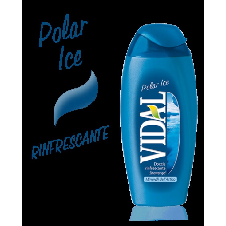 VIDAL D/S POLAR ICE 250 ML
