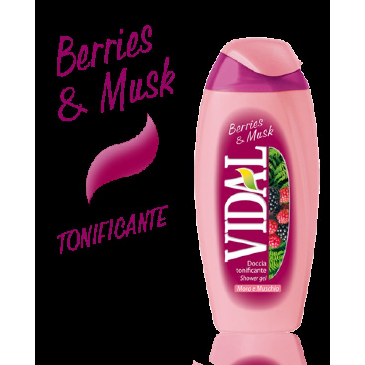 VIDAL D/S MORA & MUSCHIO 250 ML