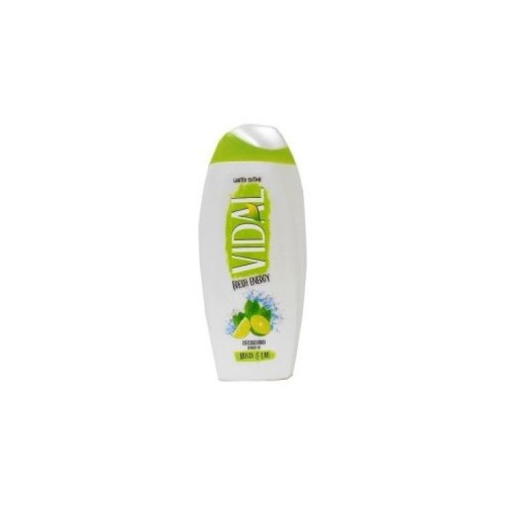 VIDAL D/S MENTA E LIME 250ML