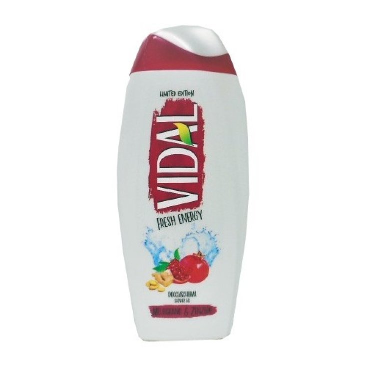 VIDAL D/S MELOGRANO E ZENZERO 250M