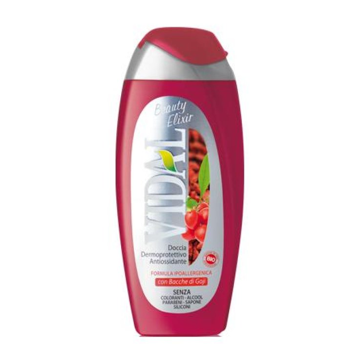 VIDAL D/S BACCHE DI GOJI 250 ML