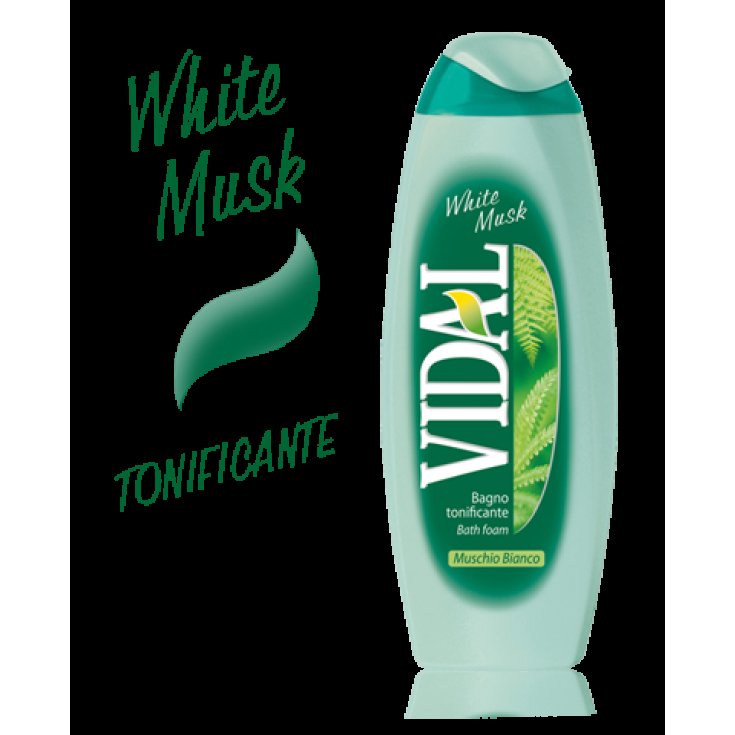VIDAL B/S WILD MUSK 500 ML