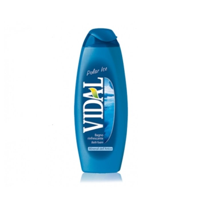 VIDAL B/S POLAR ICE 500 ML