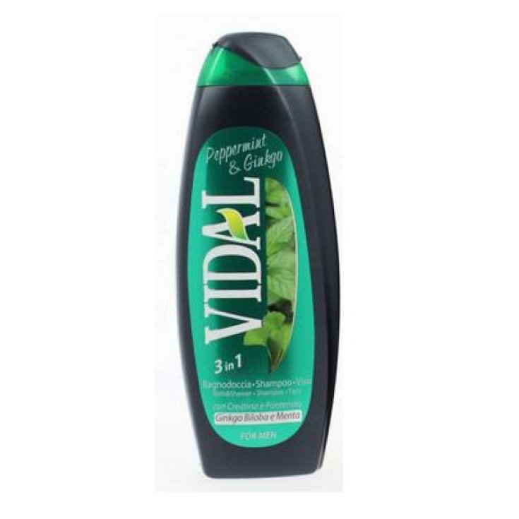 VIDAL B/S PEPPERMINT GINKGO 3IN1 5
