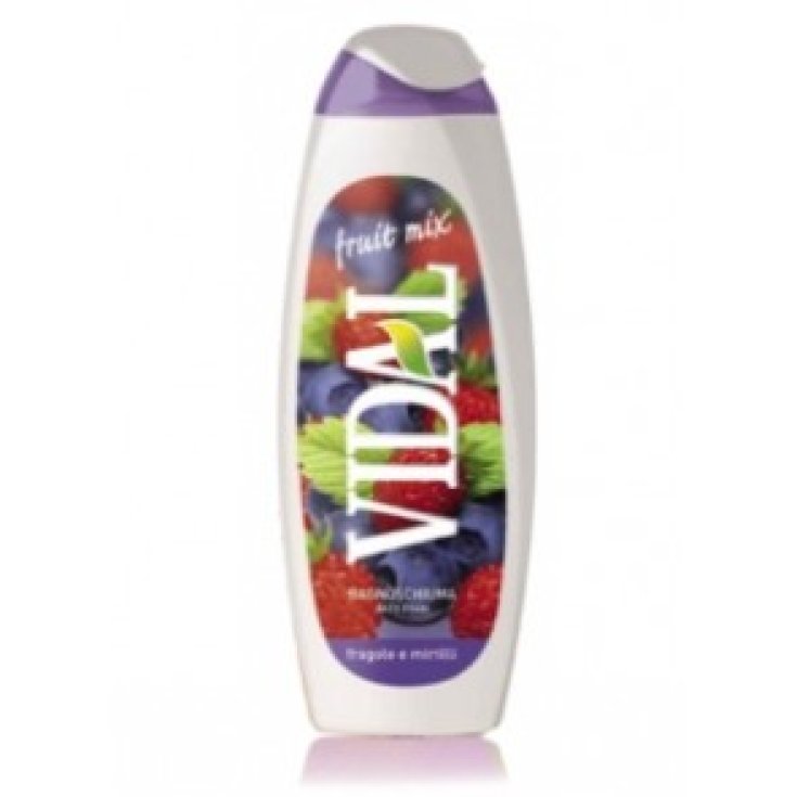 *VIDAL B/S FRAGOLA E MIRTILLI 500 M