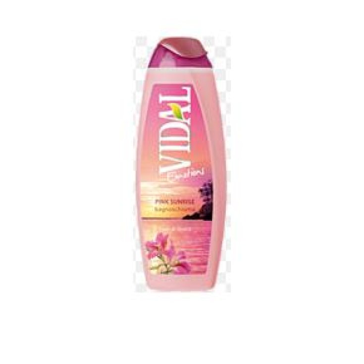 *VIDAL B/S FIORI DI IBISCO 500 ML