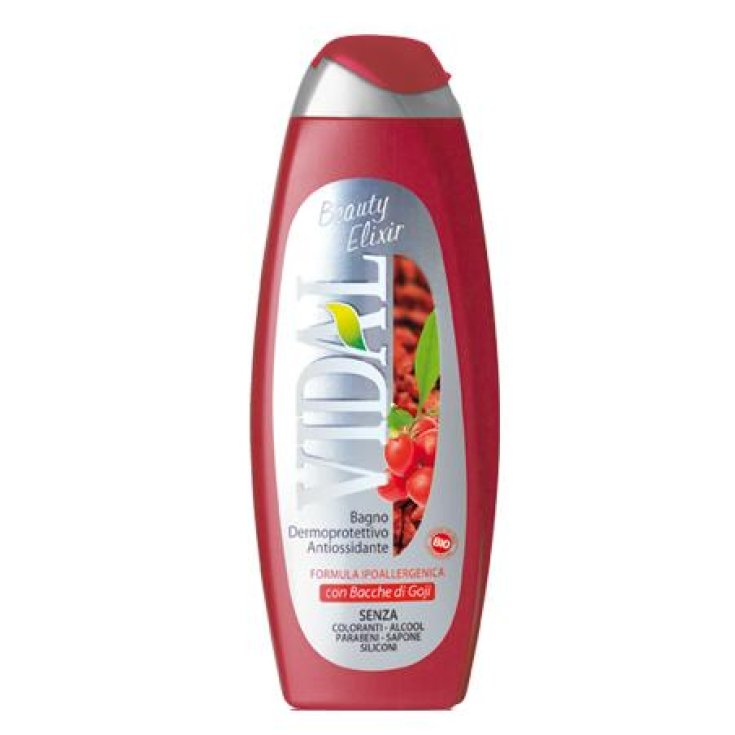 VIDAL B/S BACCHE DI GOJI 500 ML