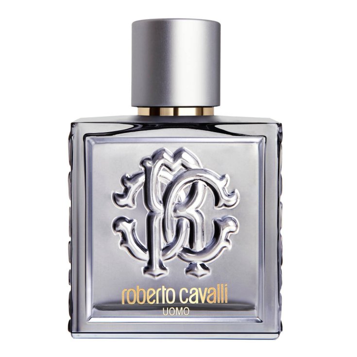 *CAVALLI UOMO SILVER EDT 100 VAPO