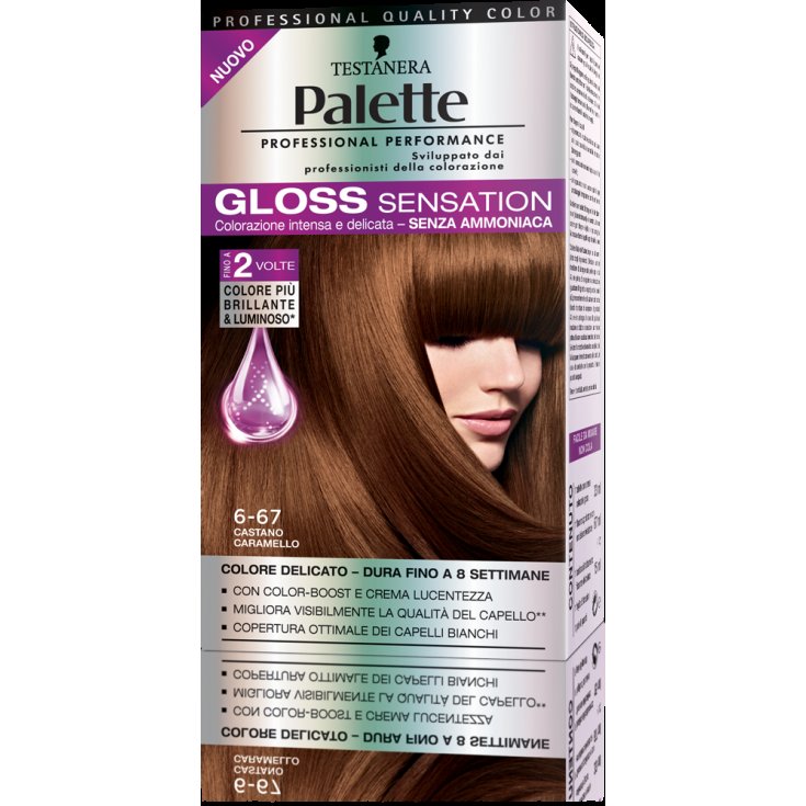 *PALETTE GLOSS SENSATION 6-67 C/CAR
