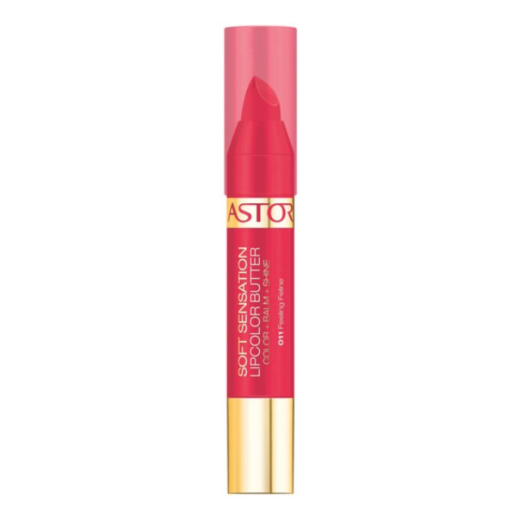 Astor Labial Soft Sensation Butter Pencil 011 Feeling Feline