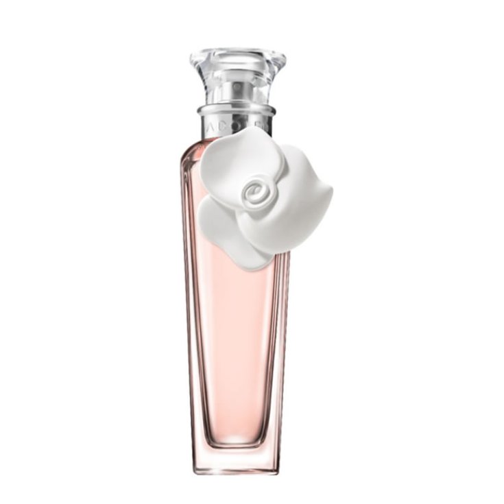 Adolfo Dominguez Agua Fresca De Rosas Blancas Eau De Toilette Spray 120ml