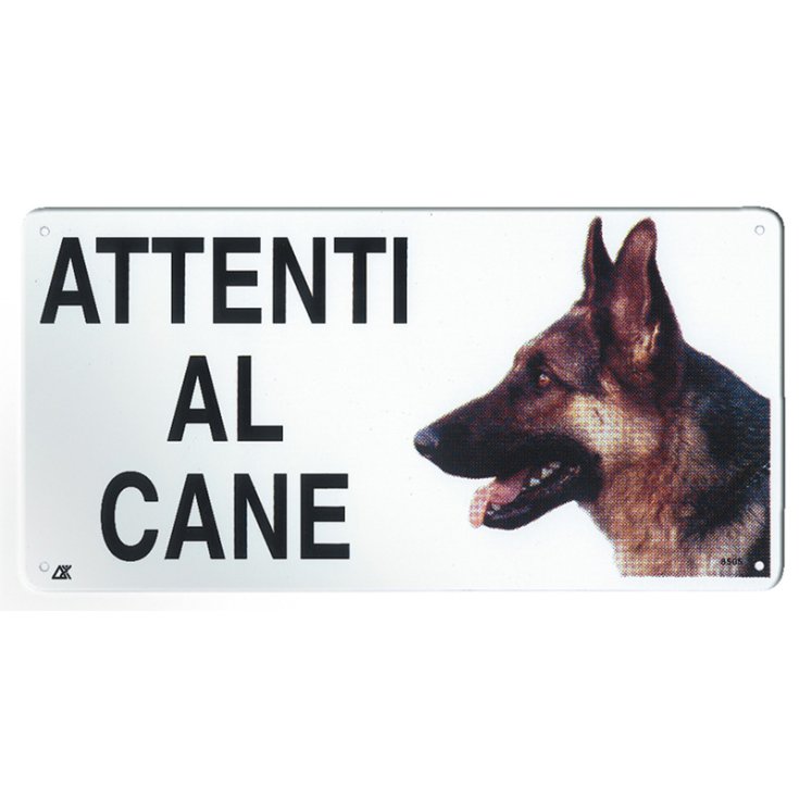 RECORD TARGA ATTENTI AL CANE MEDIA PASTO