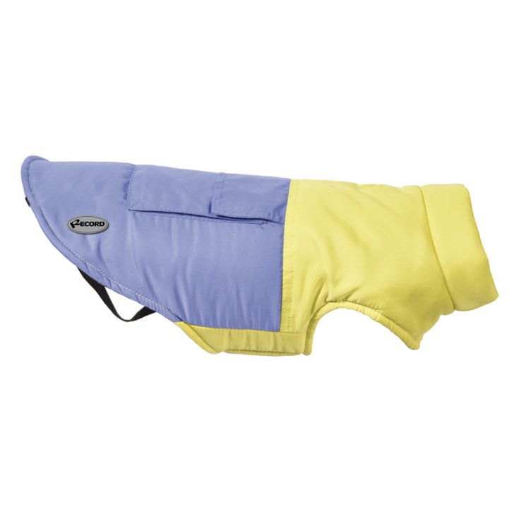 RECORD POCHETTE GIALLO LILLA XXXL PETTO: