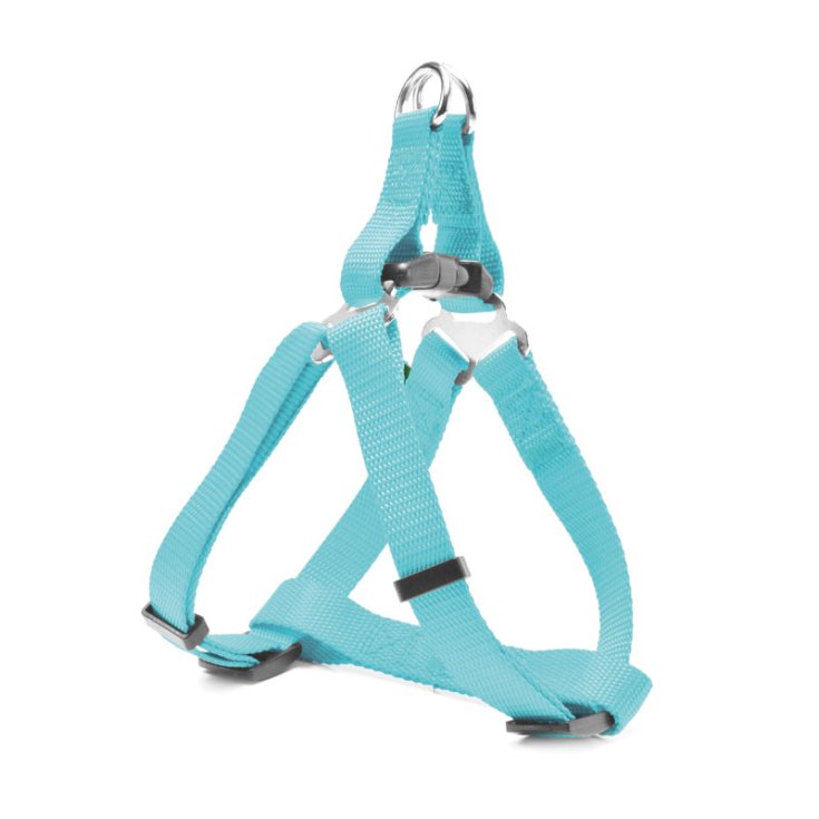 RECORD RAPIDO PETTORINA NYLON ACQUAMARIN