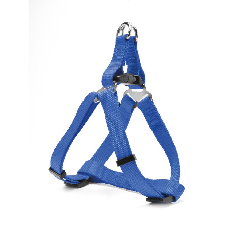 RECORD RAPIDO PETTORINA NYLON BLU L 2X41