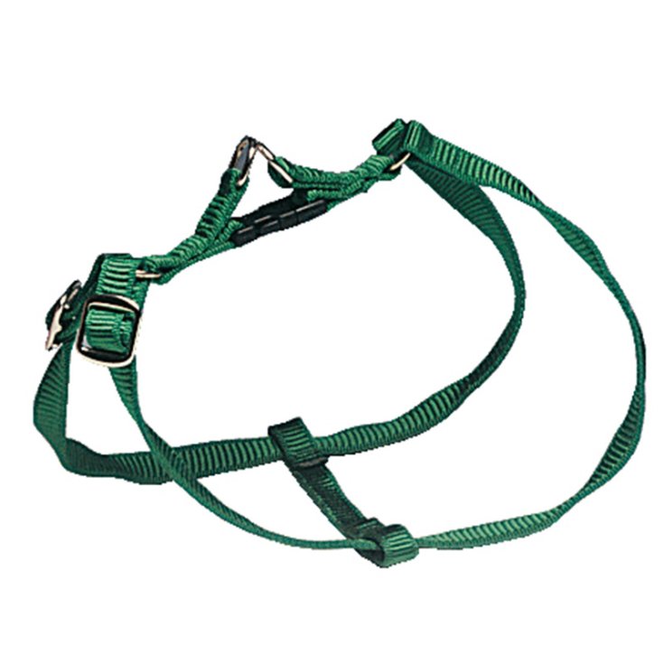 RECORD PETTORALE NYLON RAPIDO M 75 G