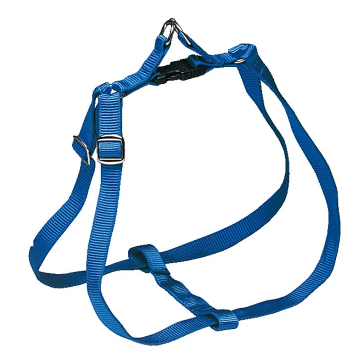 RECORD PETTORALE NYLON RAPIDO XL 185 G