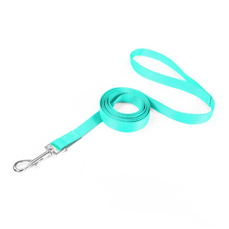 RECORD BASIC GUINZAGLIO ACQUAMARINA 1,9X