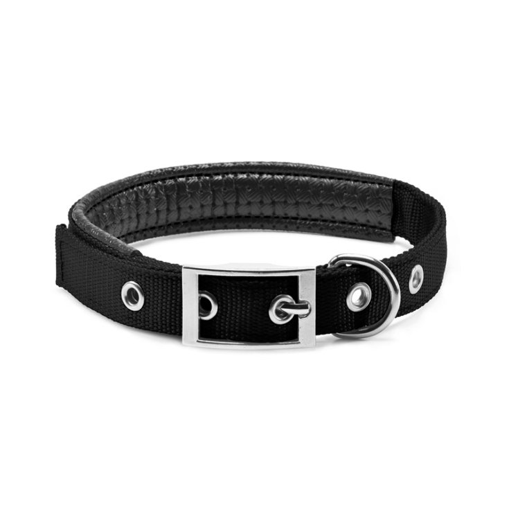 RECORD COLLARE NYLON IMBOTTITO SOFT NERO