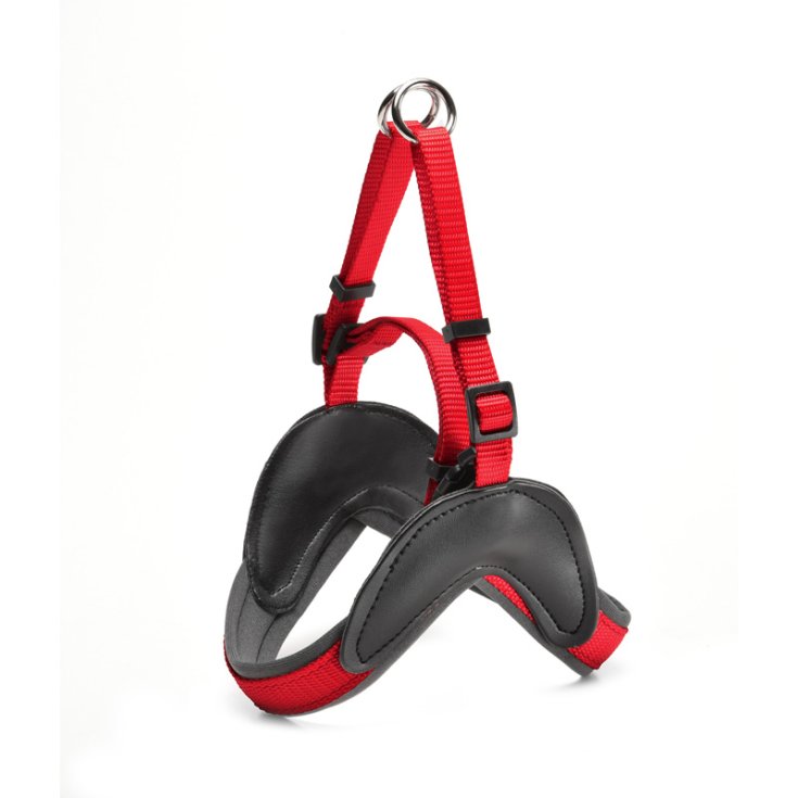 RECORD EASY PETTORINA NYLON CON NEOPRENE