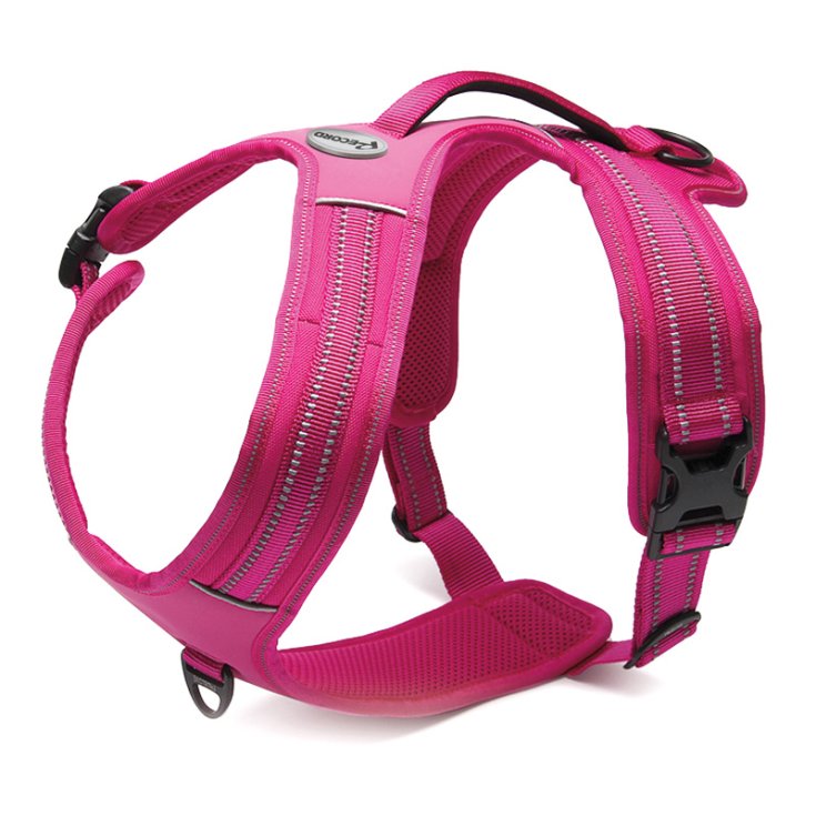 RECORD ACTION ALPI PETTORINA FUCSIA M 60