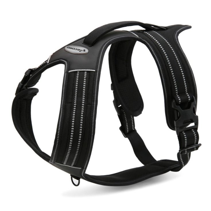 RECORD ACTION PETTORINA NERO M 60 72 CM