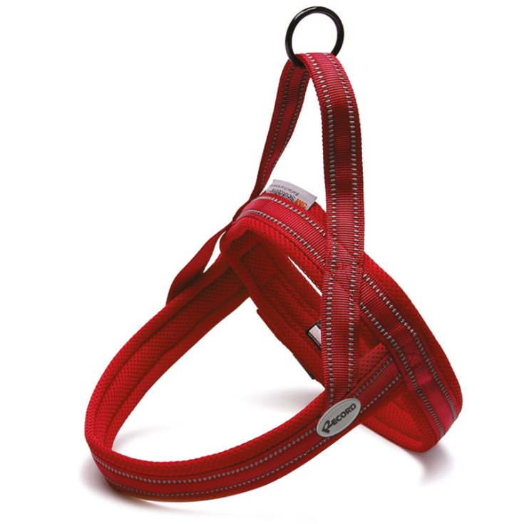 RECORD ACTION PETTORINA ROSSO S 56 64 CM