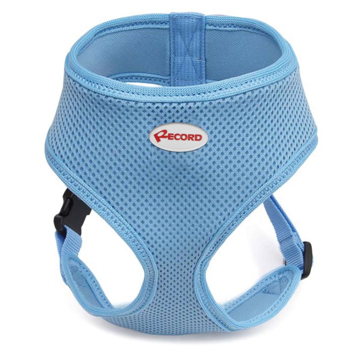 RECORD FAST DOG PETTORINA BLU XL 38-43/5