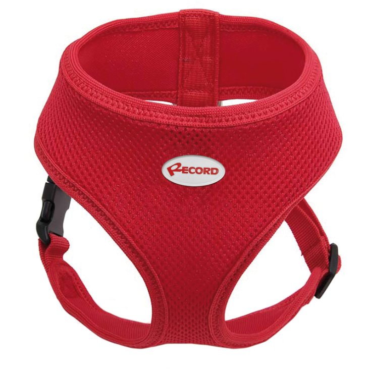 RECORD FAST DOG PETTORINA ROSSO XL 38-43