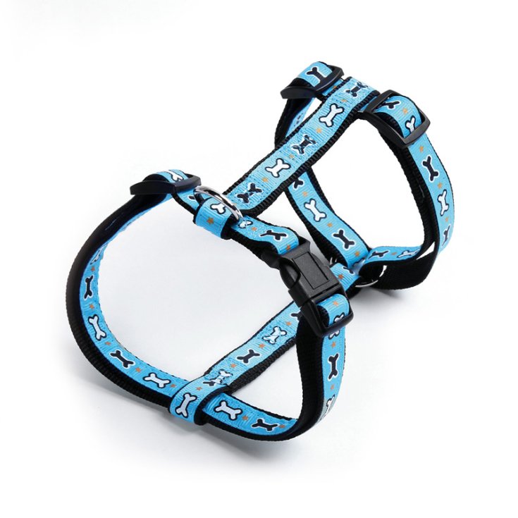 RECORD OSSICINI PETTORINA NYLON AZZURRO