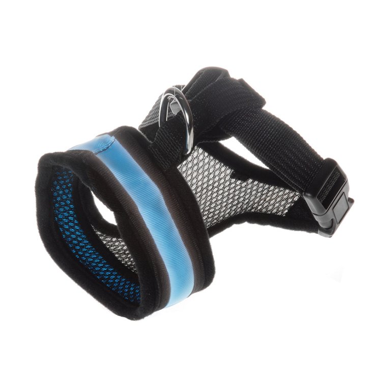 RECORD LED PETTORINA XS 26 X 32 43 CM