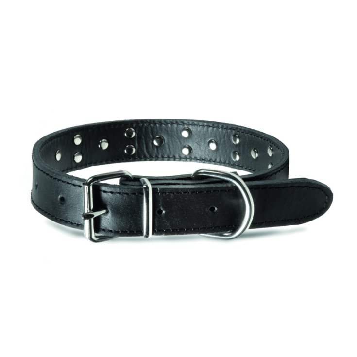 RECORD COLLARE VITELLO  CON BORCHIE NERO
