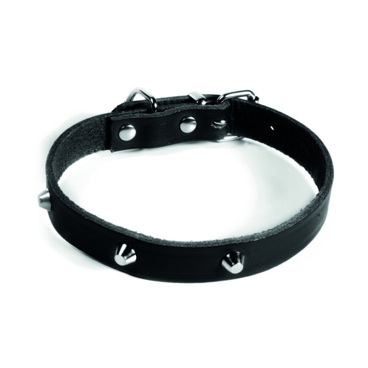 RECORD COLLARE CON BORCHIE NERO 3,5X60 C