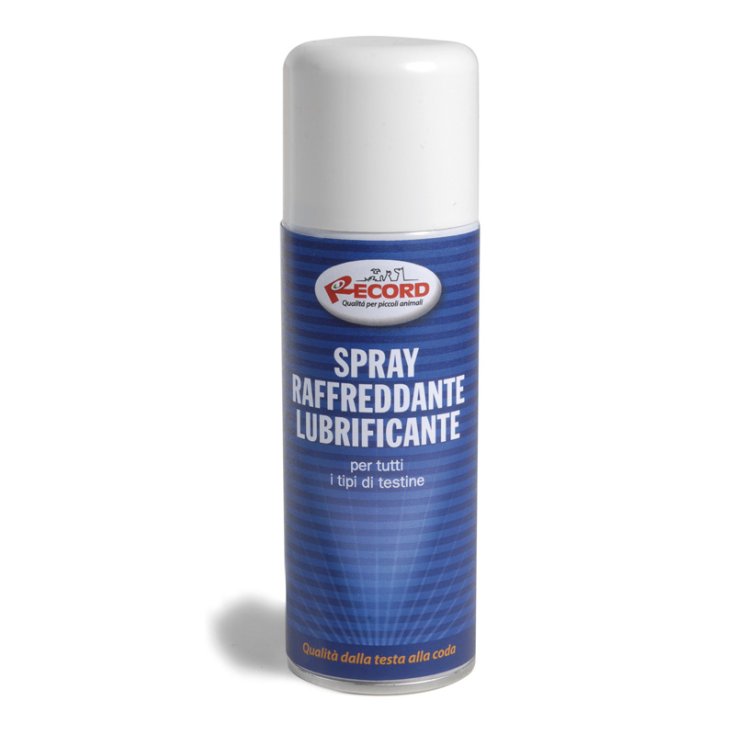 RECORD SPRAY RAFFREDDANTE LUBRIFICANTE 2